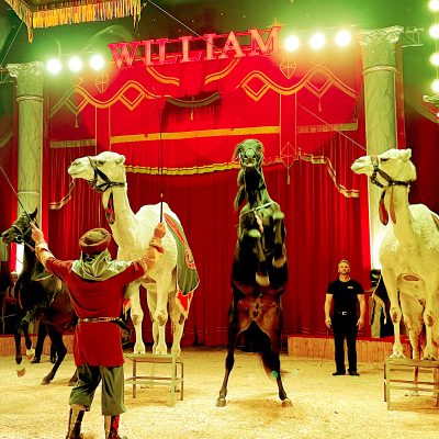 Tiershow-Circus-William